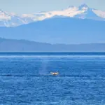 Destination Spotlight: Nosy Be