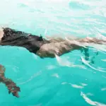 The Best Spas At Sea