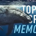 Top Five Cruise Memories