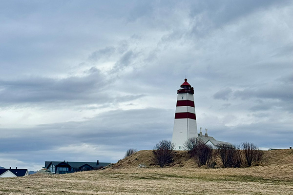 Shore excursion Bus tour to the Lighthouse in Alnes, Norway