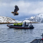 Top Tips for Cruising to The Norwegian Fjords