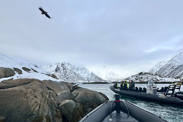 RIB & Sea Eagle Adventure Tour on MS Trolljord - Norwegian Fjords