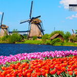 MS Trollfjord Review March 2025